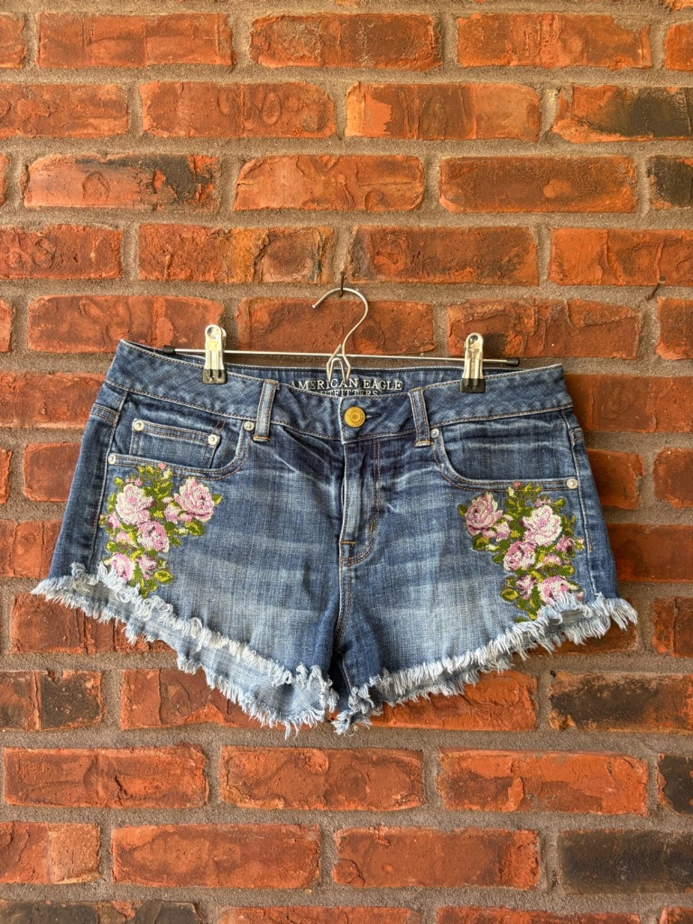 American Eagle Outfitters Blue Denim Shorts with Pink Floral Embroidery